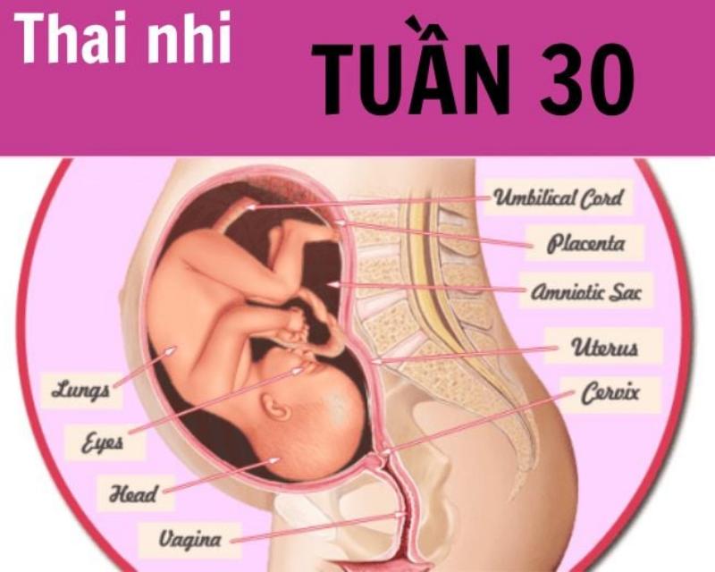 Hình ảnh minh họa các biểu hiện cảm xúc của bé